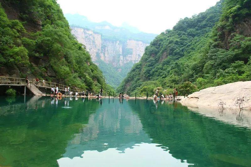 逃离大犀牛出没地